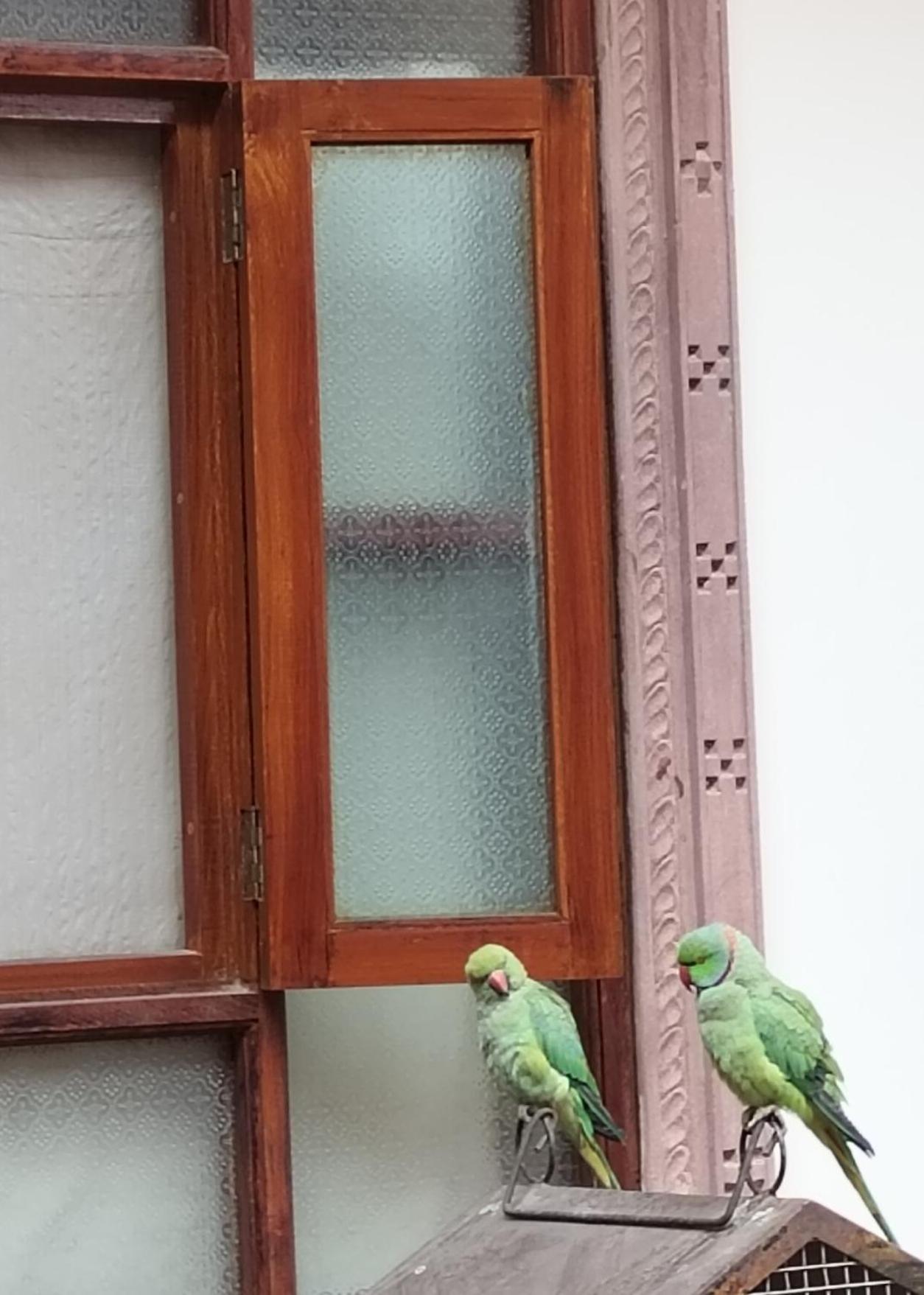 Rigmor Haveli Hotel จ๊อดปูร์ ภายนอก รูปภาพ
