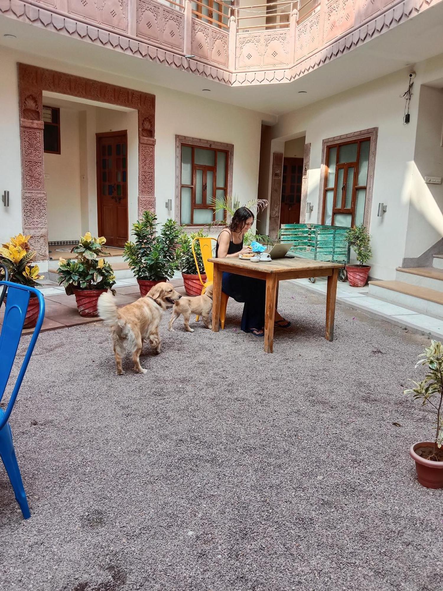 Rigmor Haveli Hotel จ๊อดปูร์ ภายนอก รูปภาพ
